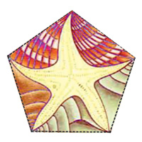 dodecahedron edge